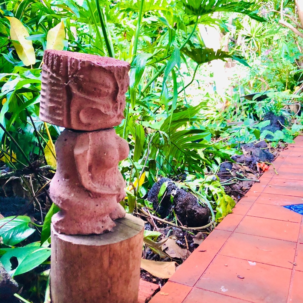 5 star🌟🌟🌟🌟🌟ratings❣️✨